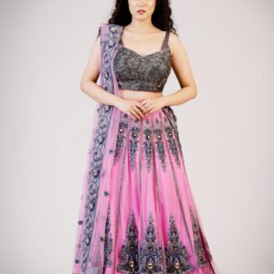 Croped Blouse Lehnga