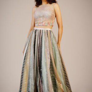 Croped Top with Flaired skirt