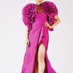 Houte couture gown with highly embelished sleeves