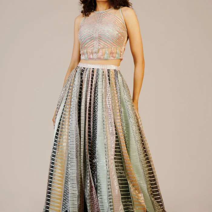 Multicolour Embellished Crop Top & Flared Skirt Set
