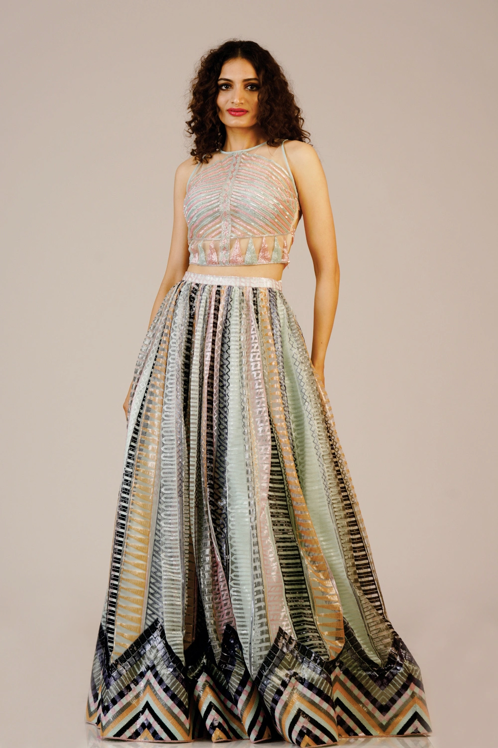 Multicolour Embellished Crop Top & Flared Skirt Set